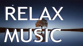 [FREE]😌Relaxing Piano Music – work, study, meditation – relaxdaily N°045🥰de relaxdaily(No © music)