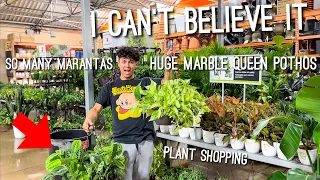 I Can't Believe I Found Them! Chill Late Night Plant Shopping at Home Depot! Big Box Store Plants