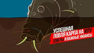 МОНТАЖ и ОСНАСТКА для ЛОВЛИ КАРПА на ИЛУ! ♻️ Как поймать РЫБУ на ИЛИСТОМ ВОДОЕМЕ?