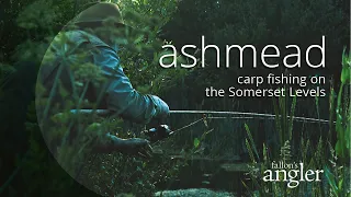 Ashmead: Carp Fishing on the Somerset Levels