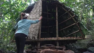 Solo Bushcraft & Camping, Build Shelter Tent in the Rainforest - Bushcraft Outdoor Ep.3