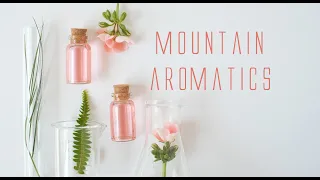 DORINIA SA E - Creating Your Own Perfume - Musk