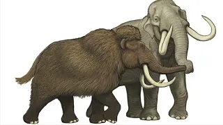 Woolly Mammoth & columbian mammoth ￼sound effects
