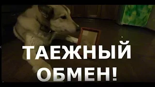 Меняю свою подпись на хороший дом с участком! Взаимовыгодная сделка.