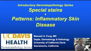 DERMATOPATHOLOGY: Special Stains & Patterns of Inflammatory Skin Diseases