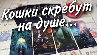 ❗️Что он Осознал и Понял насчет Вас... Его Решение и планы... ♥️♠️ таро расклад 💖 онлайн гадание