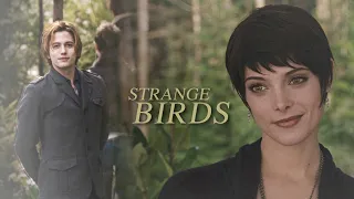 Jasper & Alice | Strange Birds