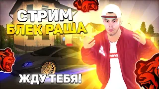 КОПИМ ДЕНЬГИ НА МЕЧТУ В БЛЕК РАШЕ! ИГРАЮ С ПОДПИСЧИКАМИ!