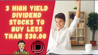 3 Highest Paying Dividend Stocks to Buy and Hold Forever Less than $30.00!