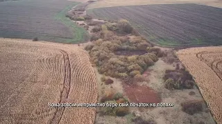 Річка Ушиця. Відео про витоки