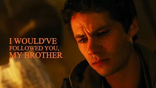 The Maze Runner | I Would've Followed You, My Brother