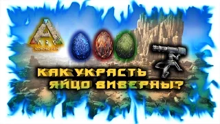 Ark: Scorched Earth! Как украсть яйцо виверны?
