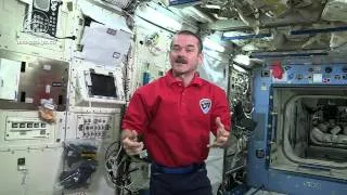 How Space Travel Affects the Taste of Food | CSA Science HD Video