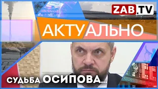 АКТУАЛЬНО - Судьба Осипова