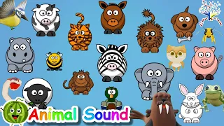 The Animal Sound Song || Kids Songs and Nursery Rhymes || EduFam ~