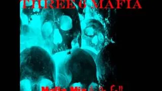 Three 6 Mafia-I Thought You Knew(Xecution Styl)