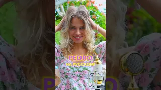 Песня «Pedro Pedro Pedro» на русском!🦝