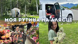 моє ПОВСЯКДЕННЯ: чекаю гостей, роблю прибирання, що їмо на Алясці  #аляска