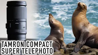 Super Telephoto, Compact, Affordable! Tamron 150-500mm f/5-6.7 Di III VC VXD Review