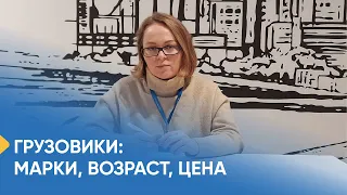 Состояние грузового парка в проекте МОНОПОЛИЯ.Бизнес