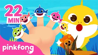 🖐Dedos, Família de Dedos🖐| +Compilação | Finger Family | Baby Shark | Pinkfong Canções para Crianças
