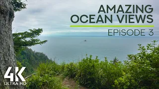 8 HRS Ocean Waves White Noise & Birds Chirping for Concentration - Amazing Ocean Views - Ep #3