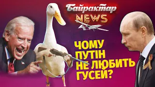 Чому путін не любить гусей? Байрактар News #3