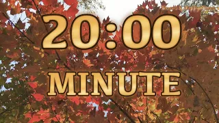 🍁20 Minute AUTUMN 🍁Timer/Countdown
