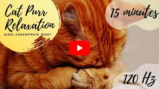 15 Minutes of Cat Purring | Relaxation, Sleep, Concentration, ASMR, White Noise, Binaural Beats