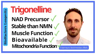 The incredible muscle longevity benefits of trigonelline/ Vincenzo Sorrentino