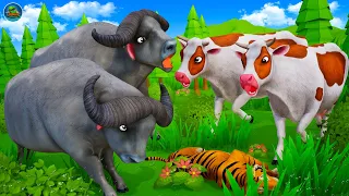 Don't Miss the End! Battle for Territory Supremacy | Cow Tiger Buffalo | Wild Animals Fights