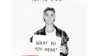 What do you mean?-Justin bieber (speed-up version) lyrics