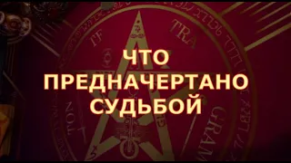 🎯 ЧТО ПРЕДНАЗНАЧЕНО СУДЬБОЙ 💯 ЭТО БУДЕТ♣️♥️ Таро прогноз на будущее перемены  #tarot#gadanie