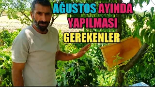 Ağustos Ayında Arılara Yapılması Gerekenler | Hangi Bakımlar Yapılmalı uygulamalı anlatım ne fayda