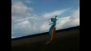 My Little Rainbow Dash-kite! ~How to fail and succeed~