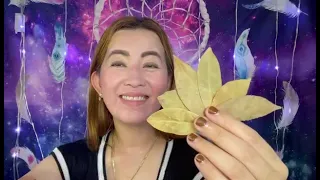 SAAN DAPAT GINAGAMIT ANG DAHON NG LAUREL-APPLE PAGUIO7