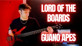 Lord of the Boards - Guano Apes Bass Cover | Michele Bass Erre