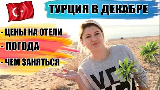 ТУРЦИЯ В ДЕКАБРЕ: сколько стоит отдохнуть? Погода, море, чем заняться, цены на отели Турция