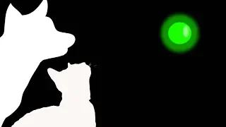 CAT GAMES - GREEN LASER CHASER (FOR CATS ONLY)