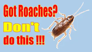 STOP!   DON'T DO THIS!  The number one mistake people make with roaches.