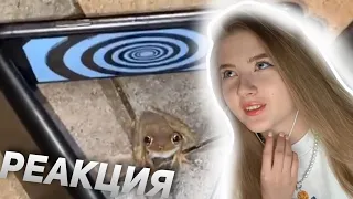 ГАЕЧКА СМОТРИТ UNUSUAL MEMES COMPILATION V133 | РЕАКЦИЯ