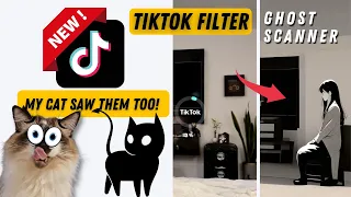 Can The New Viral Tiktok AI Filter Really Detect Ghosts!? 😱 My Cat Saw Them Too! 🙀