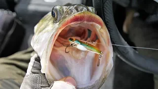 Discovering NEW Bass Fishing Pattern | Deep Grass Blading