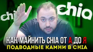 Подводные камни в Chia | Как Майнить Chia от А до Я | Часть Первая