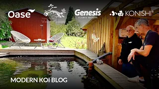 Modern Koi Blog #6023 - Harrys selbstgebauter 30.000 Liter großer Folienteich