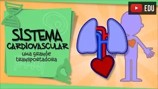 Sistema Cardiovascular - a parceria entre pulmões e coração
