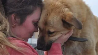 The girl came to the shelter and chose the ugliest dog, which everyone refused