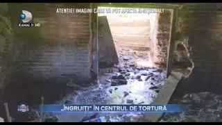 Stirile Kanal D (29.06.2021) - "Ingrijiti" in centrul de tortura! | Editie de seara