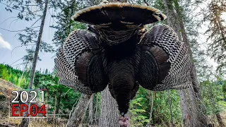 TAGGED OUT in Washington! Spot & Stalk Spring Turkey Hunt | 2021 Hunting Season EP.04