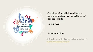 Coral reef spatial resilience: geo-ecological perspectives of coastal risks. Antoine Collin